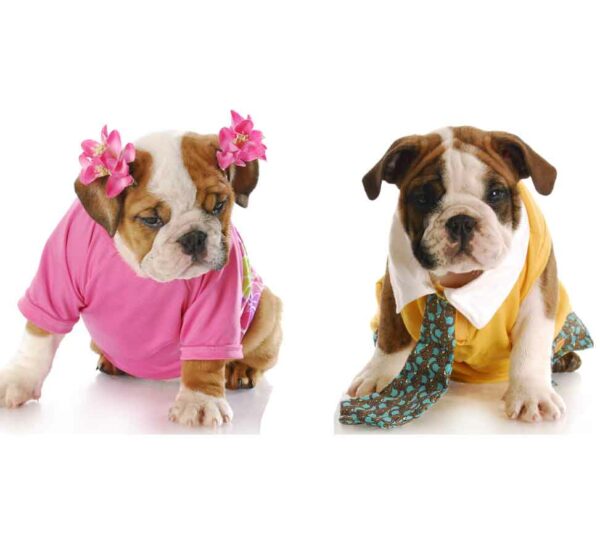 Unisex Pet Perfumes