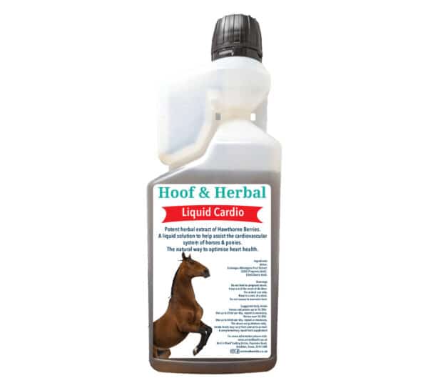 1-Litre-Liquid-Cardio