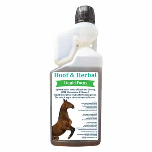 Hoof & Herbal Horses Liquid Focus