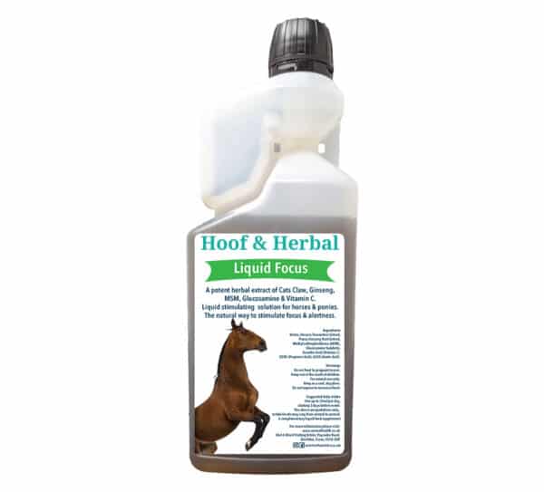 Hoof & Herbal Horses Liquid Focus